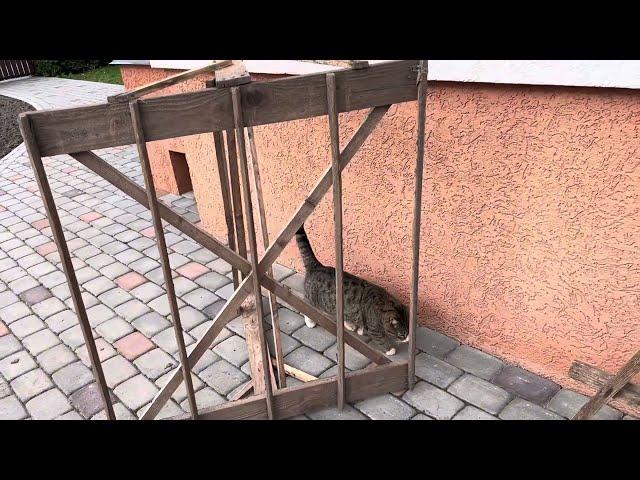 Мои примитивные маркёры, которые облегчают работу.