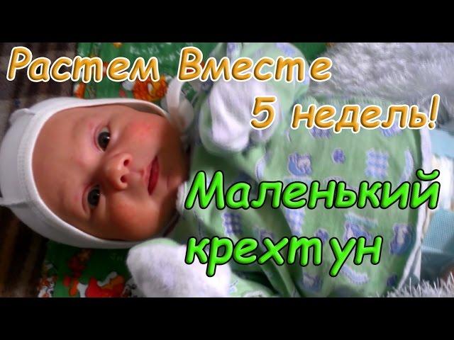 Маленький крехтун)) Растем Вместе 5 недель!!! \ Growing Together 5 weeks