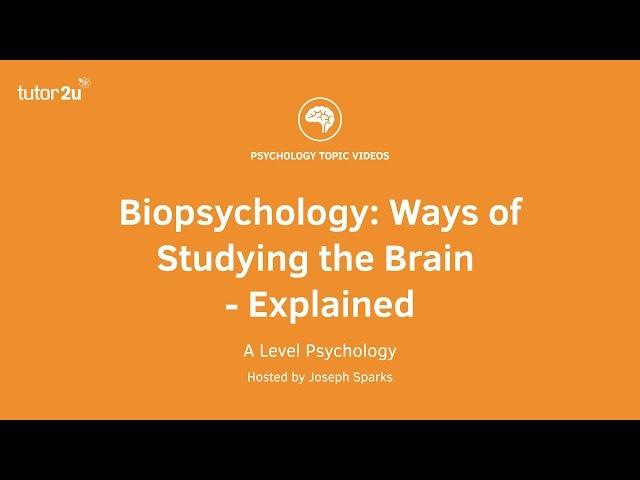 Biopsychology: Ways of Studying the Brain Explained
