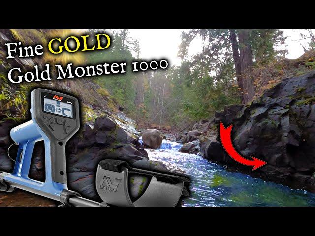 Minelab Gold Monster 1000 review. Testing how to use for small gold.