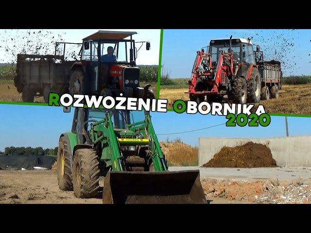 Rozwożenie Obornika 2020㋡Zając ucieka przed MF-em?!㋡2 zestawy㋡Agro Wlkp