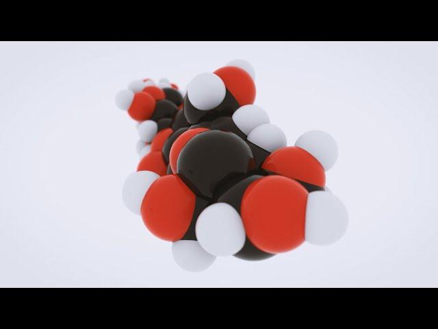 3D science animation - What is cellulose?