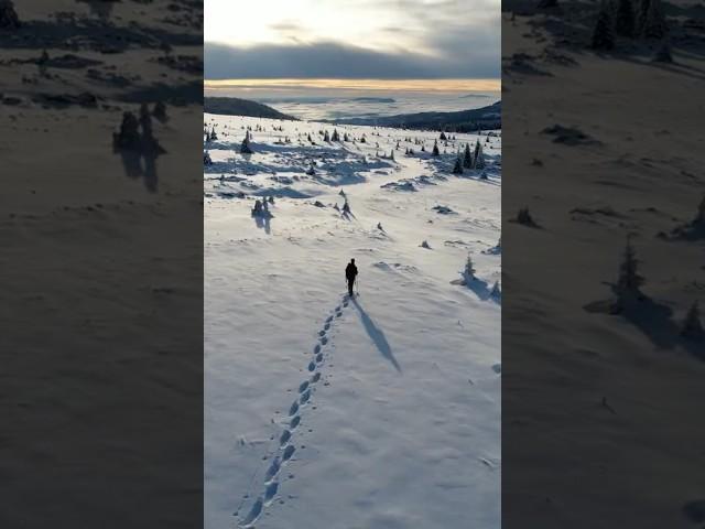 Lost in the white of the carpathians #solohiking #winterhiking #mountains #hikingroutes #snowshoeing