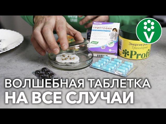 АПТЕЧНЫЙ СПАСАТЕЛЬ РАССАДЫ и стимулятор СЕМЯН! Два в одном!