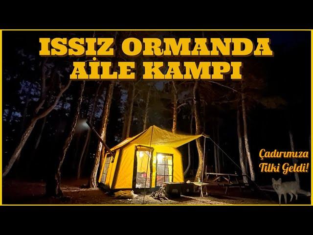 AİLEMLE ISSIZ ORMANDA KAMP - ÇADIRA TİLKİ GELDİ - SOBALI ŞİŞME ÇADIRDA KAMP