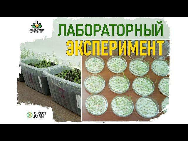 Лабораторный эксперимент от Директ Фарм