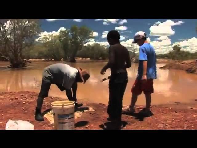 Catch & Cook: Cherabin (Fresh Water Prawn)