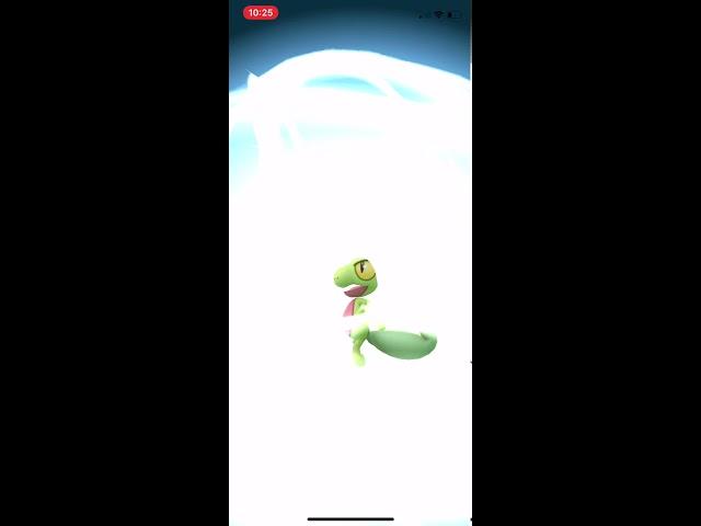 Pokémon GO - Treecko Evolution