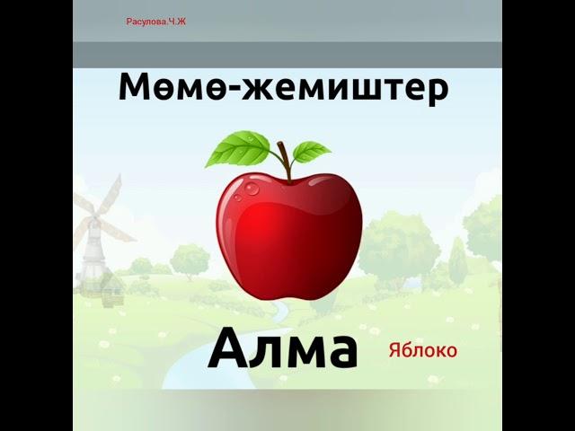 Мөмө-жемиштер