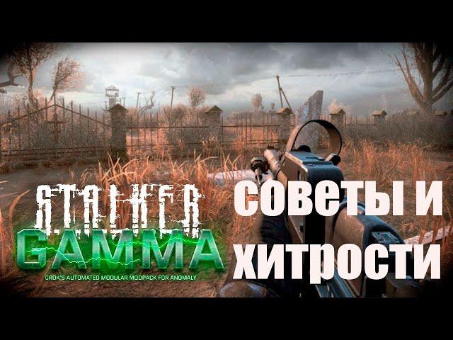 S.T.A.L.K.E.R. Gamma - Советы и хитрости