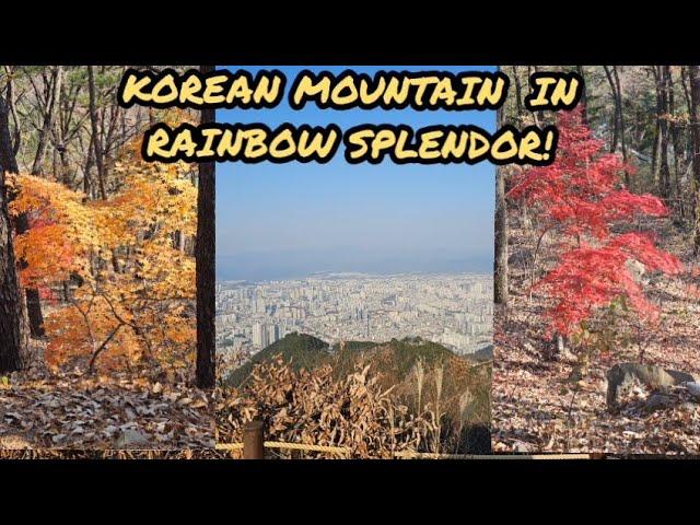 MAGICAL FALL FOLIAGE IN KOREA (VERTICAL): MOUNTAIN HIKE IN A RAINBOW FOREST