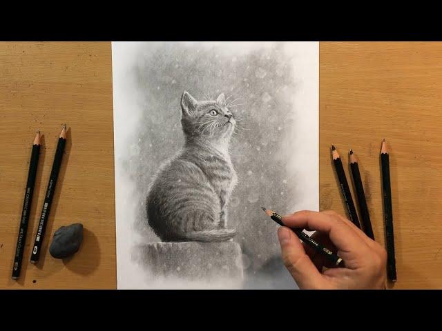 Graphite Pencil Drawing of a Kitten