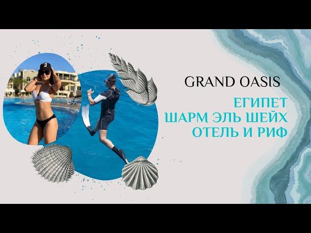 GRAND OASIS SHARM EL SHEIKH | Обзор отеля и рифа | Бюджетный отель в Египте | Шарм Эль Шейх Сохо