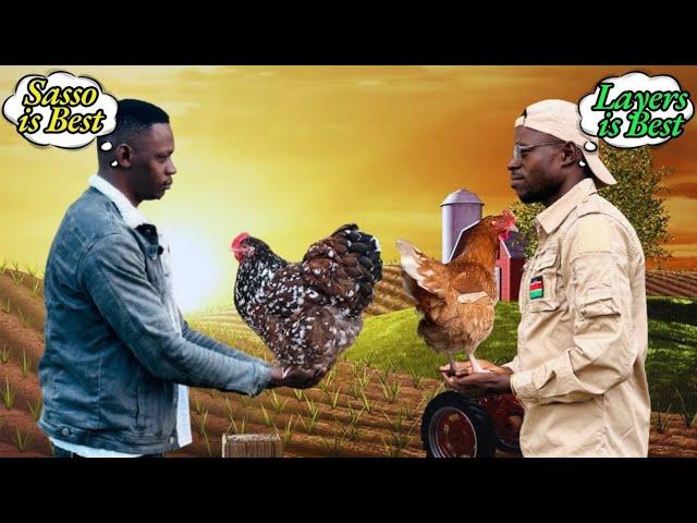 Which Chicken Farming Makes Millions Faster | Layers or Local Improved