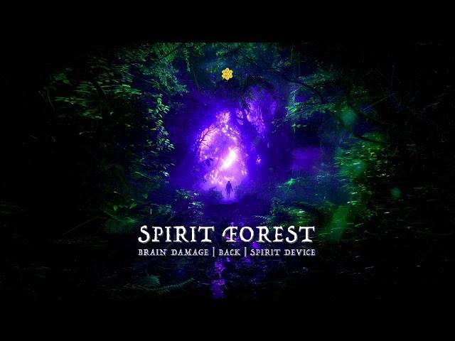 Brain Damage, Back, Spirit Device - Spirit Forest (Original Mix)