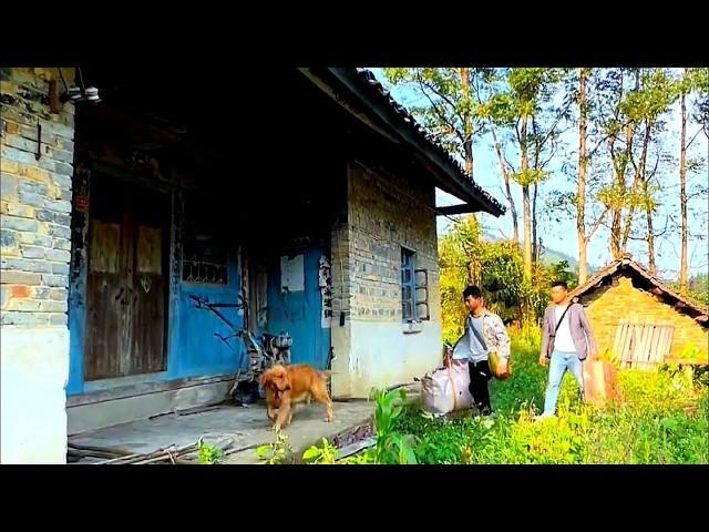 His wife's birthday, man secretly renovate old house with a beautiful garden making her very happy