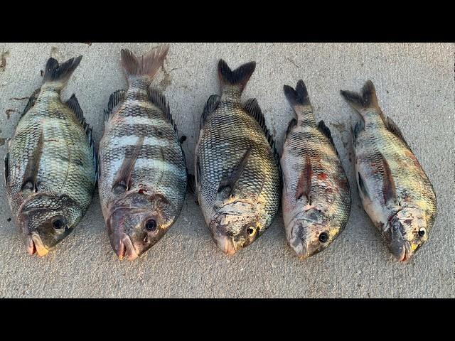 2 Hours Uncut Saltwater Fishing For Dinner (Catch, Clean and Cook)