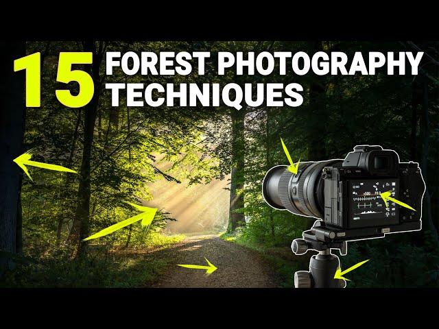 HOW TO PHOTOGRAPH FORESTS