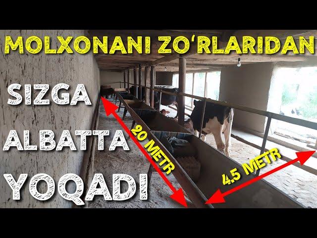 MOLXONA QURMOCHI BOʻLGANLAR UCHUN 20 METRLI MOLXONA QANCHAGA TUSHADI