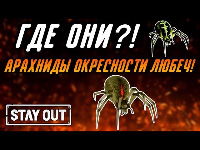 ГДЕ НАЙТИ ПАУКОВ ПО КВЕСТУ: АРАХНИДЫ ОКРЕСНОСТЕЙ ЛЮБЕЧ?|Stay Out|Stalker Online|EU1