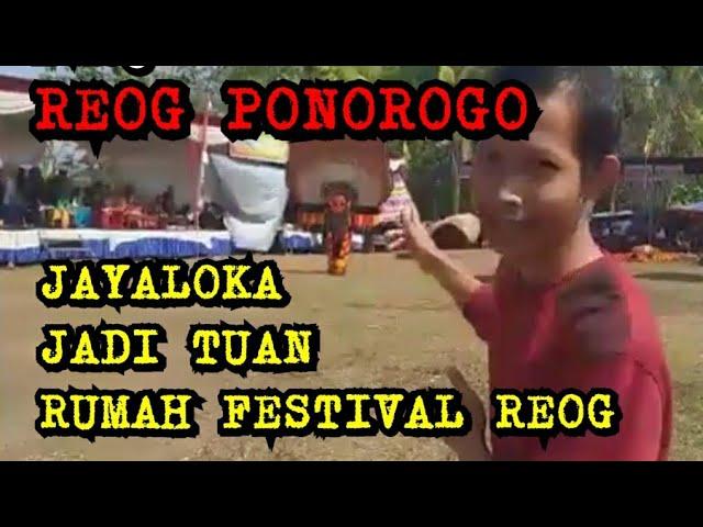 #REOG #PONOROGO #Jaranan                                                     FESTIVAL Reog  JAYALOKA