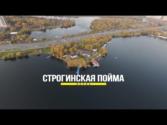 Строгинская пойма. Осень.