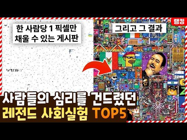 사람들의 심리를 뒤흔들어놨던 레전드 사회실험 TOP5