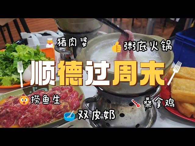 Shunde Weekend Trip | 48-Hour EATING GUIDE | Porridge Hot Pot! Fish Sashimi! Scorpion soup!