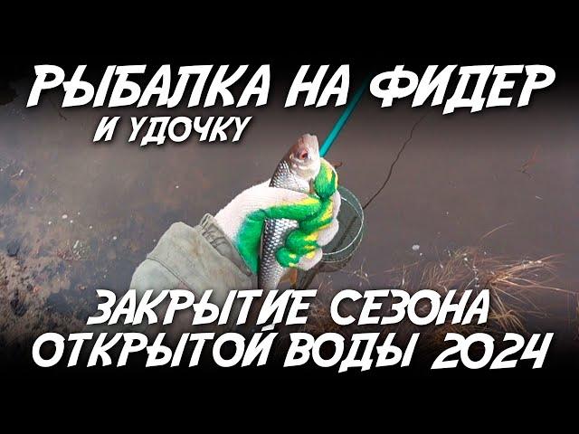 Рыбалка на фидер и удочку / Закрытие сезона открытой воды 2024