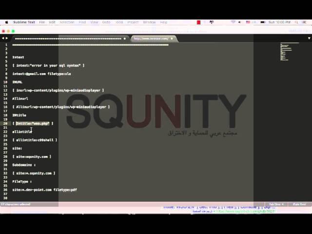 2 - Footprinting & Google Dorks  | Squnity.com