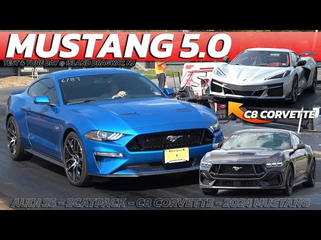 Mustang 5.0 vs C8 Corvette & 2024 Mustang, Scat pack Charger, AUDI S5 @ island dragway