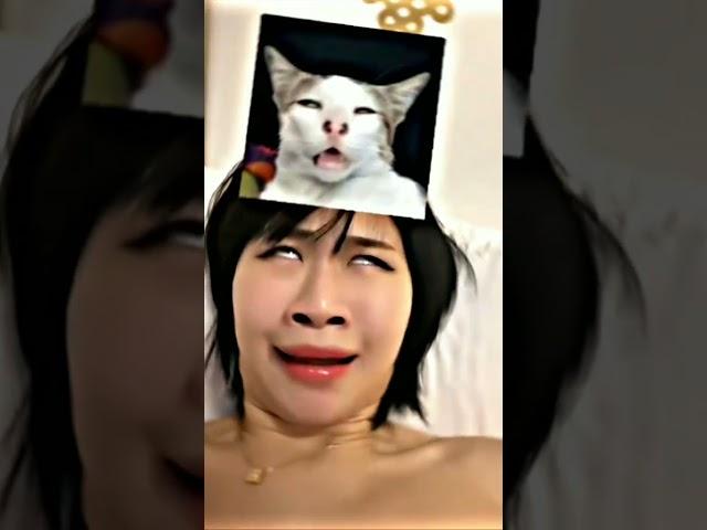 Kelakuan Seleb Tik Tok Menirukan Ekpresi Kucing