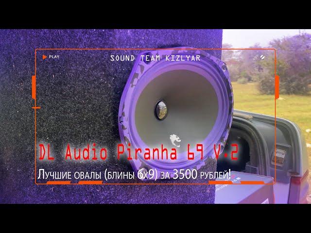 Лучшие овалы (блины 6x9) за 3500 рублей! DL Audio Piranha 69 V.2