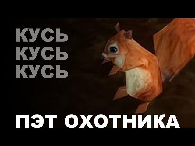 ОХОТНИК - выбор питомца для охотника В WoW Burning Crusade Classic | HUNTER - choice pet in WoW