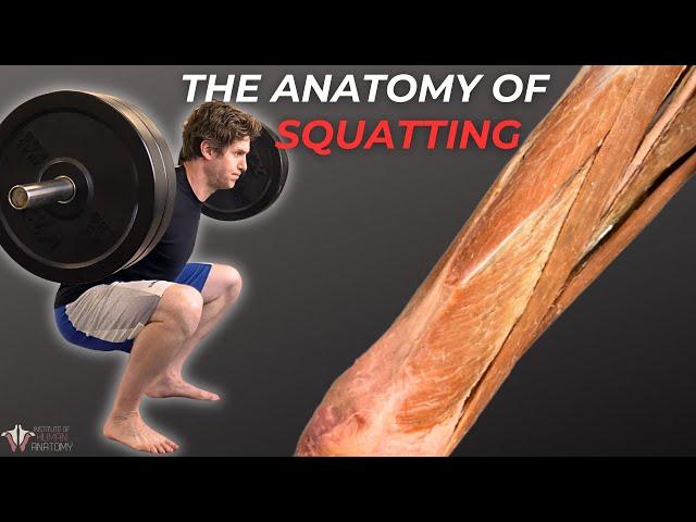 Why You Should Squat