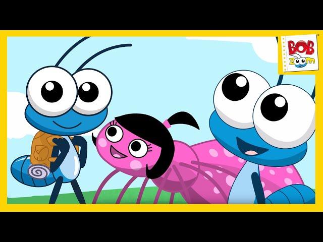 Itsy Bitsy Spider | Bob Zoom | Nursery Rhymes
