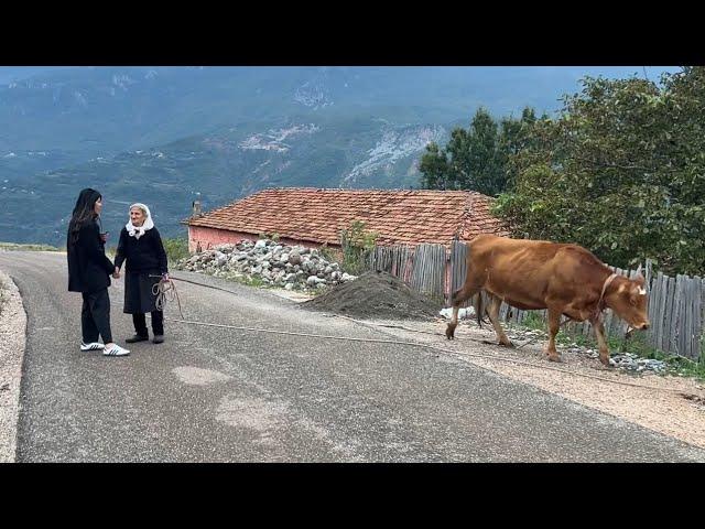 Dragostunjë fshati me pamje përrallore.”Këtu s’ka asnjë problem”. Pse nuk ankohen banorët aty?