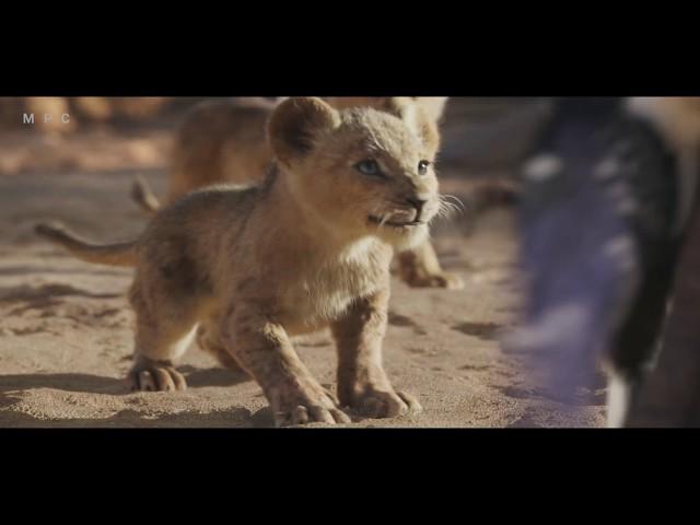 MPC Film - The Naturalistic effects of The Lion King