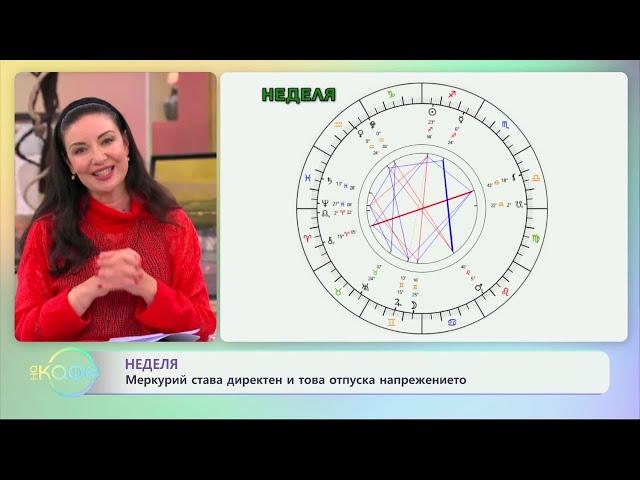 Понеделник: Непродуктивност и меланхолия - „На кафе“ (09.12.2024)