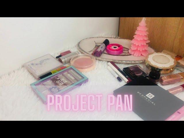 Project Pan 2024 ️| ФИНАЛ| Отчет за декабрь #projectpan   #коллекциякосметики