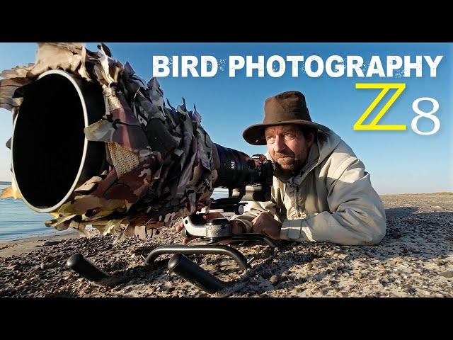 Bird Photography With Homemade Sled