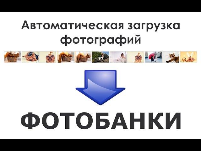 Обзор программы для автоматического сабмита на фотостоки Stock Submitter