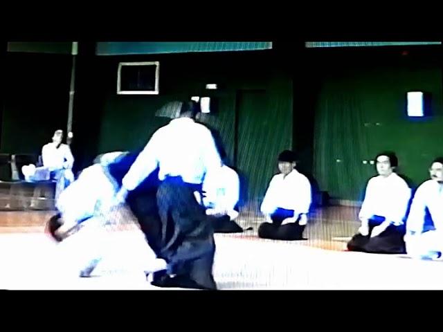 Daito-ryu Aikibudo: Aikinojutsu's Handa Sensei