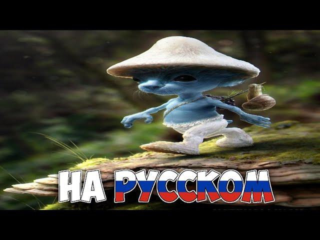 Шайлушай на русском