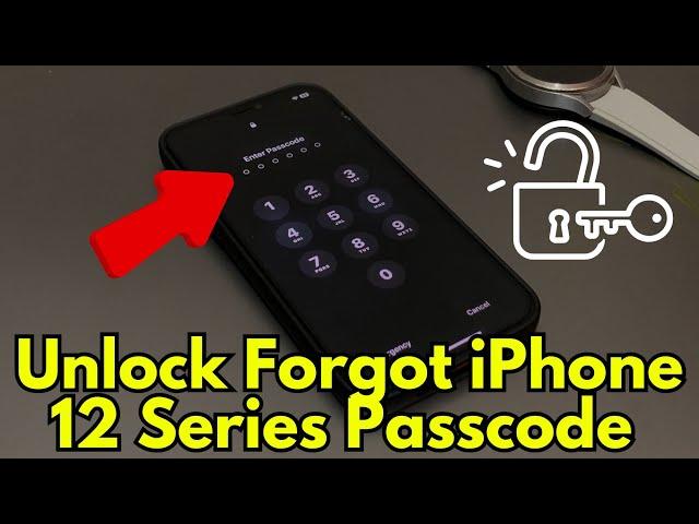 "Forgot iPhone 12 Series Passcode? Here's How to Unlock It!