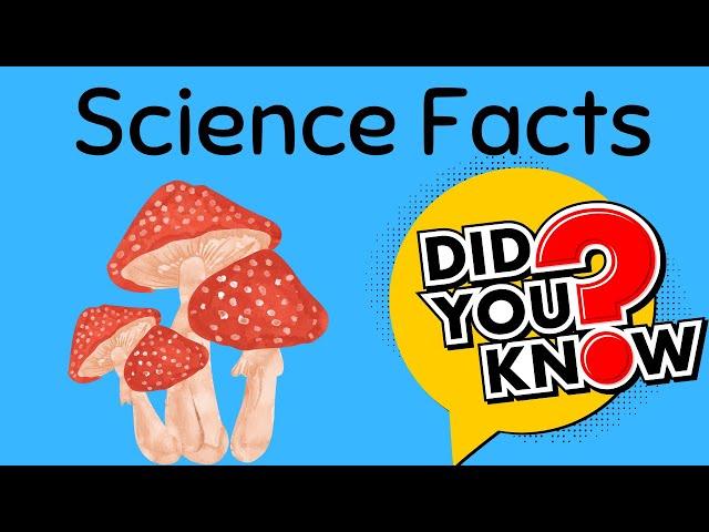 Fun Science Facts