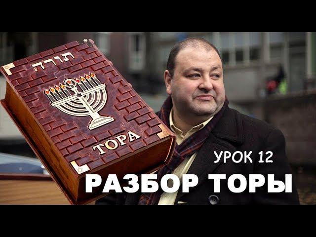 РАЗБОР ТОРЫ. УРОК 12. БЭААЛОТХА.