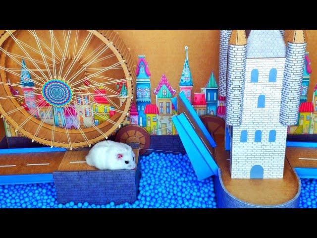 Hamster Maze - Amusement Park for Hamster