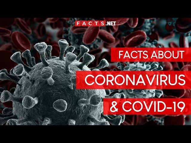 Important Facts About COVID-19 Coronavirus Outbreak