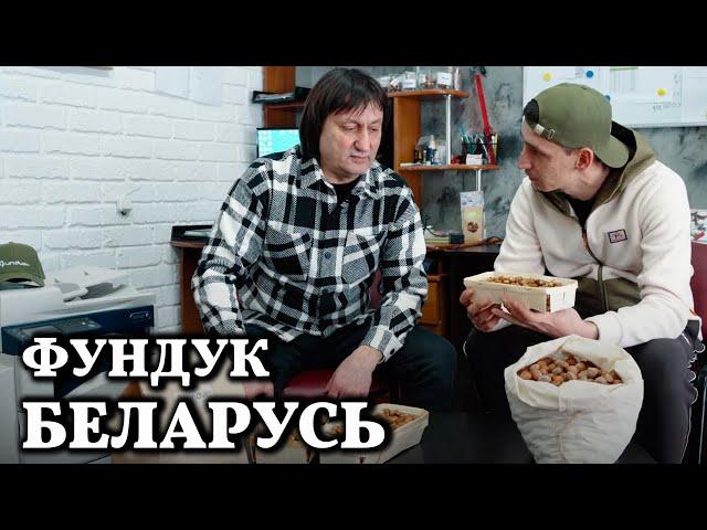 Фундук Беларуси // Бизнес для ленивых // Часть 1